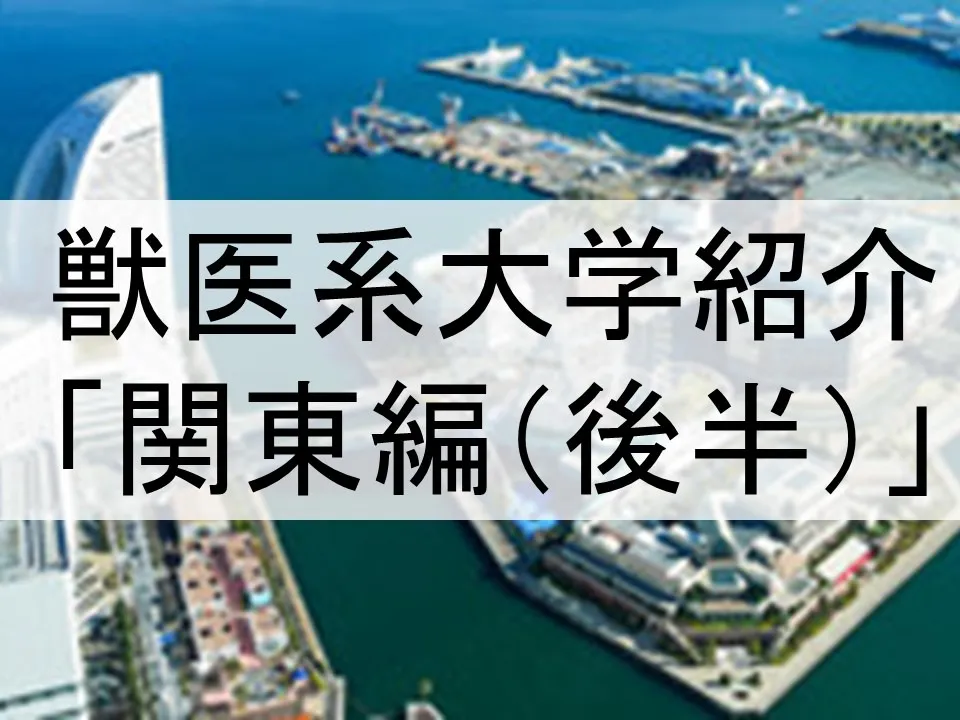 獣医系大学紹介「関東編」後半