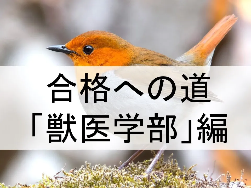 理解度別に選ぶ獣医学部受験対策