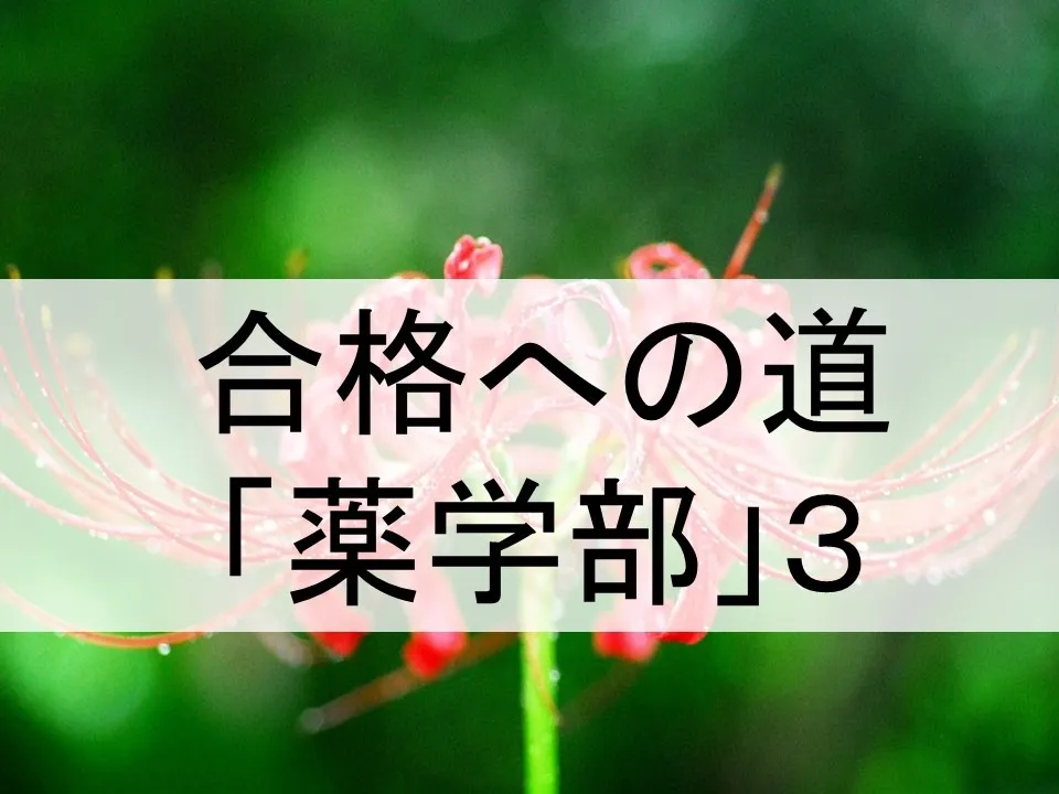 薬学部受験に向けた勉強法