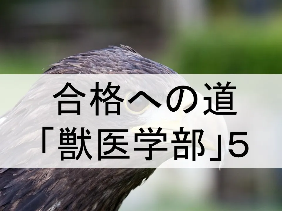 獣医学部受験の成功法則