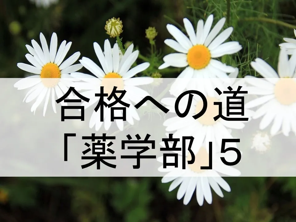 薬学部入試対策の成功法則