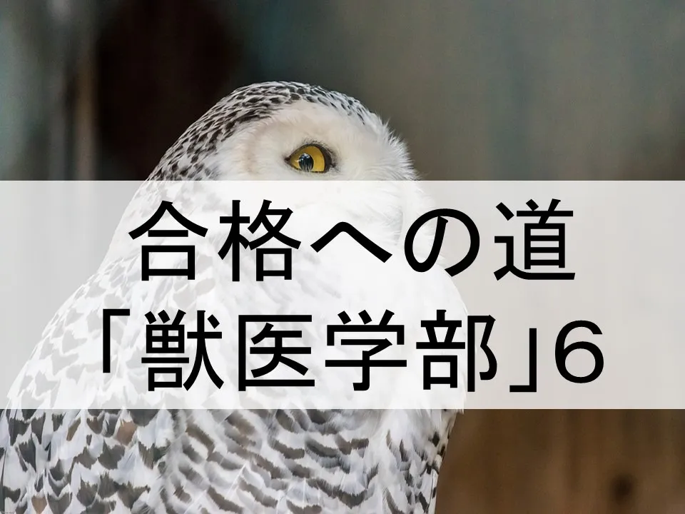 獣医学部の一般選抜学習法