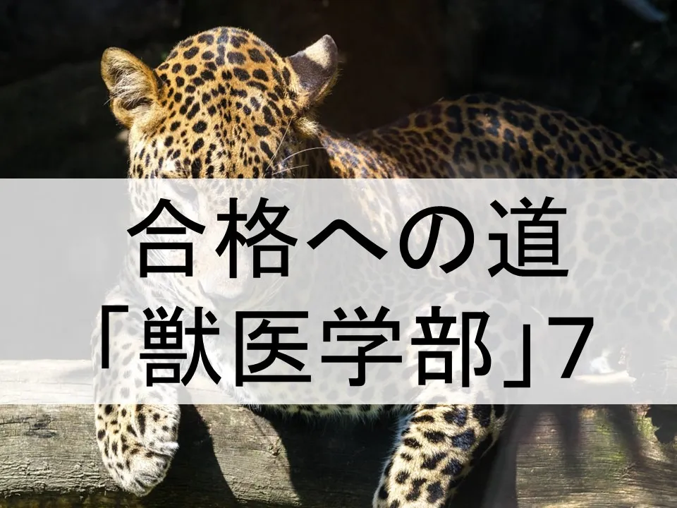 国公立獣医学部受験成功の鍵とは