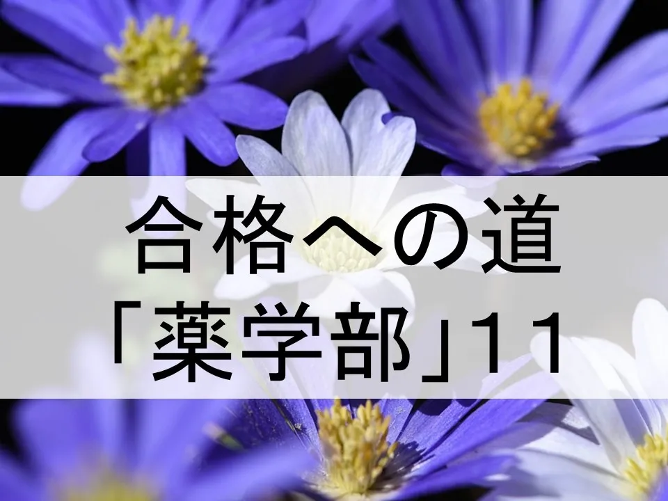 薬学部の学費と奨学金の全貌