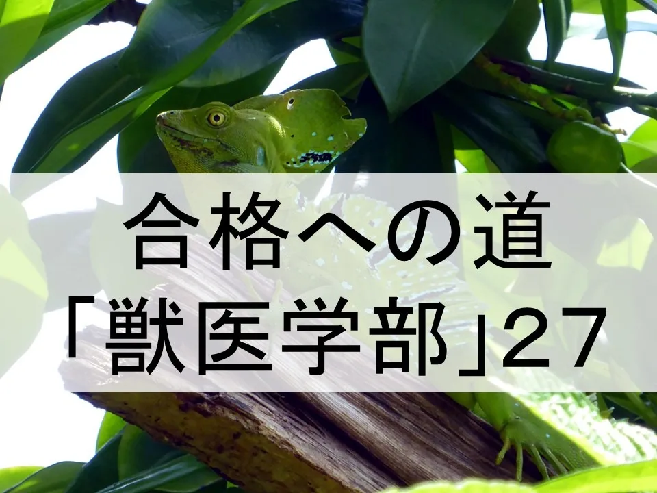 獣医学部後期試験メンタル対策法