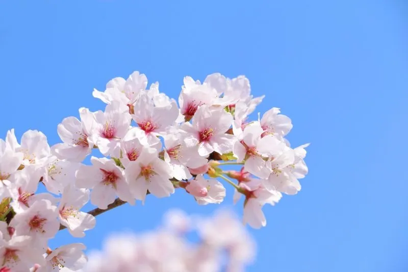 学費