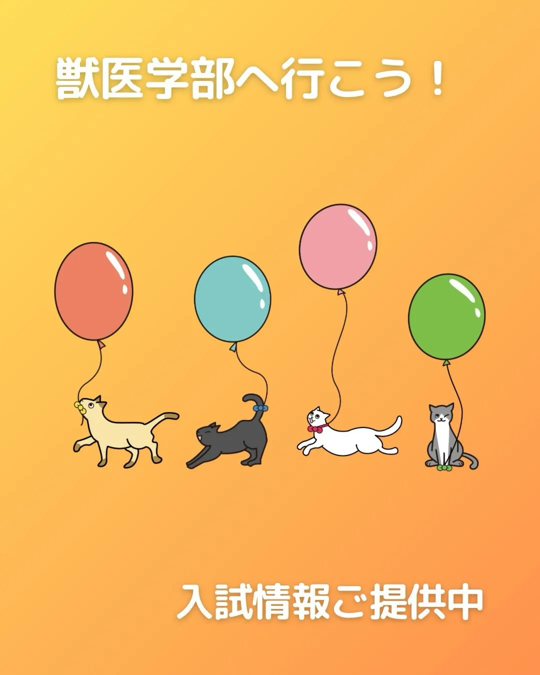 獣医学部情報サイトのご案内